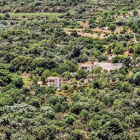 Holiday home Athina - Tatsopolis *